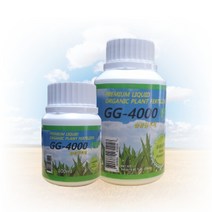 습윤 침투제 GG-4000 농약 PLS 대비 약흔 감소 비료 전착 고추 과수 사과 복숭아 마늘 양파 탄저, GG-4000 습윤침투제 100ml