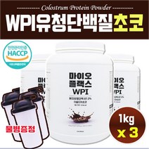 haccp 인증 분리 농축 유청 단백질 쉐이크 프로틴 초코볼 벌크업 보충제 대용량 살찌는 wpi wpc 1kg, 3병, 단백질보충제(초코맛)