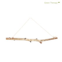 그린테라피 먼지먹는 수염 틸란 디시디아 이오난사 공기정화식물 행잉플랜트 공중식물 틸란드시아, 자작나무가랜드50cm, 1개