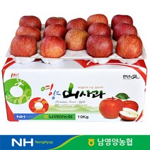 경북 영양농협 사과 상품 10kg 51과이상꼬마사과, 단품
