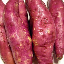 늘찬 품질좋은 촉촉달콤 꿀고구마 3 510kg 박스단위판매, 꿀고구마10kg(한입/소)