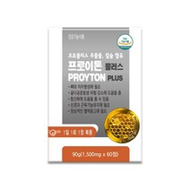 프로이톤 플러스 PROYTON PLUS 60정 (프로폴리스 추출물 칼슘 함유), 1