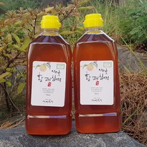 초록사랑 하동 유기농 매실원액 매실엑기스, 2개, 900ml
