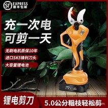 자동전정가위 충전식 전지가위 리튬 배터리 과일 나무 원예, F, 단일사이즈
