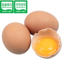 난각번호1번 프리미엄 무항생제 친환경 자연방사 동물복지 유정란 계란 달걀, 난각번호1번 동물복지 유정란 20구