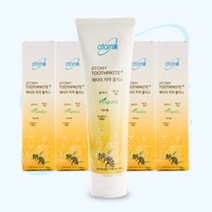 애터미 플러스 프로폴리스 치약, 200g, 6개