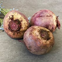 쿡네이처 제주 레드비트 특품 5kg