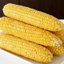 [미식한가] 제철의맛 그대로 냉동 초당옥수수 특품 (17-20cm), 냉동 초당옥수수 3팩(6개입)