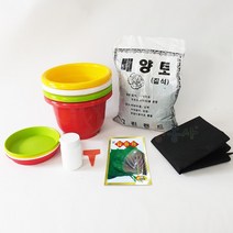 깻잎키우기 7종, 단품