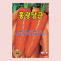당근씨앗 1500립 홍광 당근씨 씨앗 대장 KS종묘, 1개