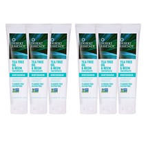 Desert Essence Tea Tree Oil & Neem No-SLS Toothpaste Wintergreen 데저트 에센스 티트리 오일 님 베이킹소다 치약 176g 6팩, 한세트(6팩)