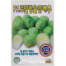 F1 로얄 방울양배추씨앗 100립, 단품