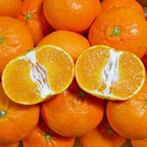 [귤담원] 서귀포 명품 레드향, 1박스, 레드향 3kg 중대과(10-14과)