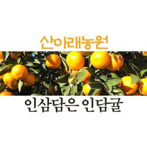 [인담귤] 제주 제철 감귤 산아래 5k 10k 프리미엄 선물용 달콤한과일 사포냐귤, 5kg[고급]선물용