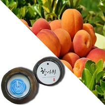 늘향 늘향 순수한 복숭아향 항아리캔들 (2737179), 1호 빨강