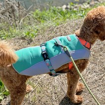 강아지 여름 쿨조끼 메쉬 쿨웨어 쿨조끼 중형견 대형견 옷, 그린