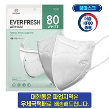 더숨 KF80 중형 숨쉬기 편한 새부리형 쿨링감소재 10매 50매 100매 에버프레쉬 보건용 마스크 1매입 개별포장, 10개, 화이트