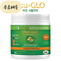 강아지 오큐글로츄 노령견 눈 백내장 영양제 소프트츄 30개입 OCUGLO 해외직구, 1개