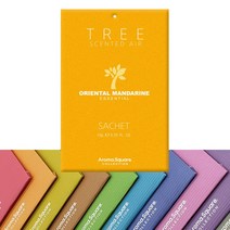 인터바겐 아로마스퀘어 사쉐 트리 방향제 옷장 실내 차량용 걸이형 행낭 디퓨저, 오리엔탈 만다린 L(20g), 1개