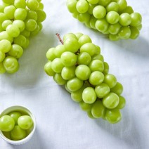 영천 프리미엄 샤인머스켓 1.5kg 망고포도 씨없는 청포도