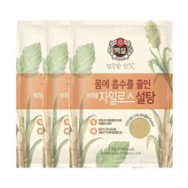 백설 자일로스 브라운 설탕 2kg x 3봉, 1개