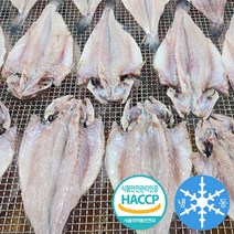 반건조 민어조기 영상가이석태 생선 반찬용 구이용 손질 5마리 10마리 700g 1.4kg, 10마리 1.4kg