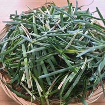 남해 노지 초벌부추, 남해 노지 초벌부추 300g