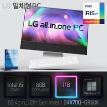 LG 일체형PC(12세대) 24V70Q-GR50K [이벤트 한컴오피스 증정], 24V70Q-GR50K 램8GB + SSD1TB