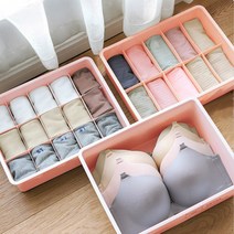 [힘찬쇼핑]칸칸 양말 속옷 정리케이스 속옷정리함 다용도수납함 수납함 양말정리함 보관함 칸칸정리함, 15칸, 15칸