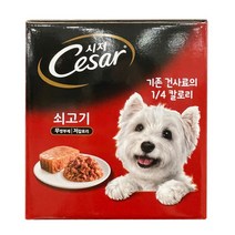 코스트코 시저 애견사료 소고기 100g x 24캔