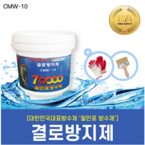 [칠만표 CMW-10] 결로방지제 - 10kg, 1개