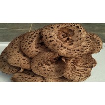 자연산 능이버섯(냉동) 1KG, 1개