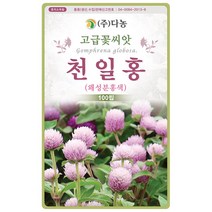 설악초 20립 - 초설초 야광초 야생화 씨앗 꽃씨 씨 꽃씨앗 야생화씨앗 고급꽃씨 고급꽃씨앗, 15_다농_천일홍(왜성분홍색)(100립)