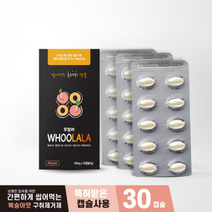 동신헬스케어 후랄라 구취제거제 100MG X 30캡슐 X 6박스 입냄새제거제 복숭아오일 박하유
