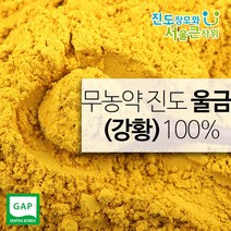 진도장모와서울큰사위 진도 강황가루 500g, 500g (계량스푼 증정), 1개