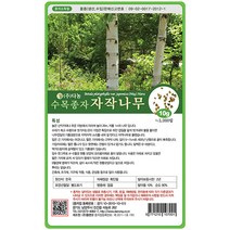 자작나무씨앗 100g, 단품없음