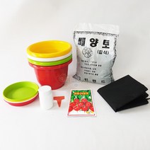 래디시키우기 7종, 단품