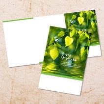교회 절기 주보 추수감사절 주보용지 3단 6면 주보지 52주 디자인 순서지 안내지 교회용품 기독교용품 주일학교 청년부 전도용품 새교우, EW-21