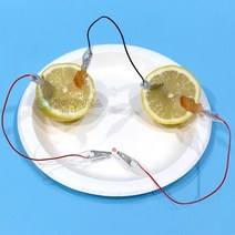 SA 안전 집게전선 과일전지(LED형)(1인)-SSA