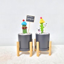 꽃피우는청년 키우기 쉬운 실내공기정화식물 선인장 2종 세트 - 피쉬본 로드킬 선인장 (만세 선인장), 우드 스탠드 포함, 원형 검정색