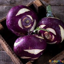 디카운티 콜라비 햇 제주 콜라비 최상급 특품 고당도 자색콜라비 3kg 5kg 10kg