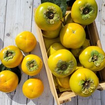 품평회대상 태추 단감 배단감, 태추 단감 5kg (26과내외)