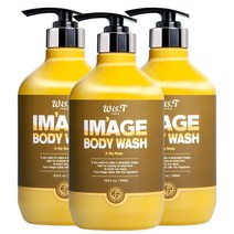 위스티 이미지 향기 좋은 등드름 완화 바디워시 아라로즈 500ml, 3개