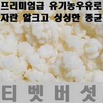 티벳버섯 케피어그레인, 20g(대용량)