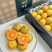 [특가]제주 하우스 감귤 고당도 선별 가정용 선물세트, 하우스 감귤 (중과) 로열 선물용 5kg, 1개, BOX