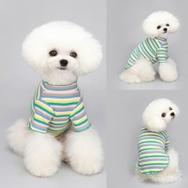쭈리 무지개 고양이 소형견 옷, 무지개 줄무늬: 녹색 가장자리