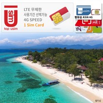탑유심(ASIA) AIS True 인도네시아 유심 4G LTE 데이터무제한, 탑유심(ASIA) 4G 30일 데이터무제한, 1개