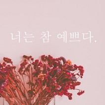 단비데코 감성레터링 스티커 감성문구 응원 명언 현관문 포인트스티커, L-05너는참예쁘다-화이트