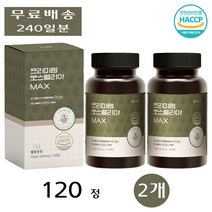 웰빙곳간 고순도 인도산 보스웰릭산 보스웰리아 MAX 효능 테르페노이드 해썹 120정 2개