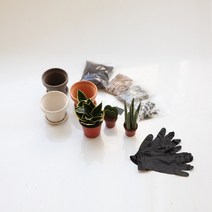 반려식물 DIY키트 화분만들기 스투키 산세베리아 하트호야 실내공기정화식물 키우기 체험학습, 그래니트(크림), 오색자갈